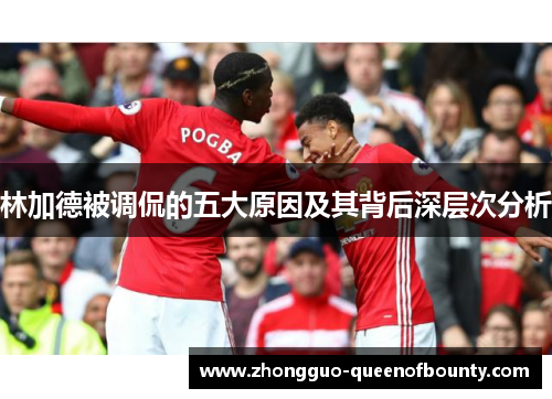 林加德被调侃的五大原因及其背后深层次分析