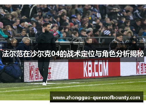 法尔范在沙尔克04的战术定位与角色分析揭秘