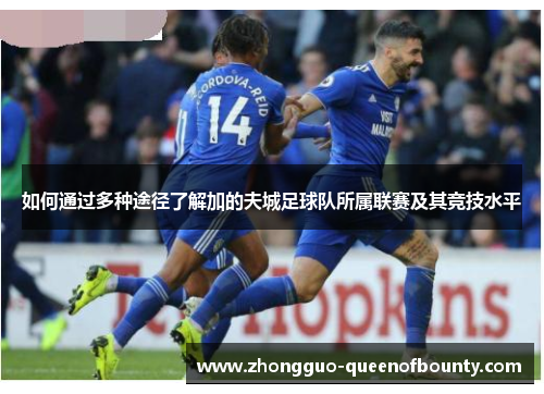 如何通过多种途径了解加的夫城足球队所属联赛及其竞技水平