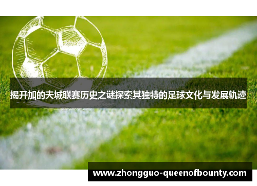 揭开加的夫城联赛历史之谜探索其独特的足球文化与发展轨迹